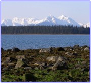 Picture3