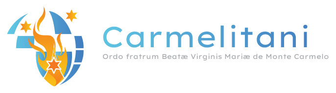 carmelitecuria logo it