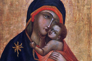 Lectio Divina July 2024
