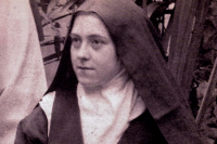 National Shrine of St. Thérèse of Lisieux (Darien, Illinois)