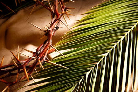 Celebrando in Casa - Domenica delle Palme