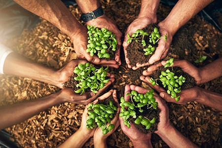 Celebraciones de la Semana Laudato Si' 2021 en la Orden
