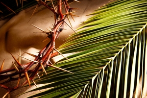 Celebrating At Home - Palm Sunday