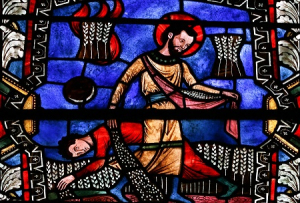 Celebrating At Home - 16th Sunday in Ordinary Time