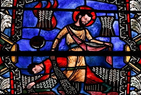 Celebrating At Home - 16th Sunday in Ordinary Time