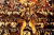 Commemoration of All Carmelite Souls